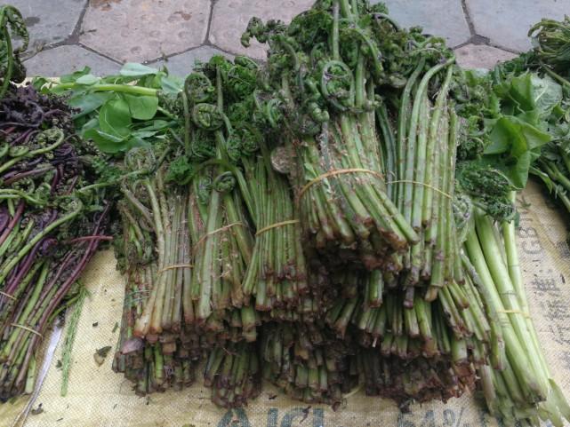 吉林,致尊敬的听众朋友们