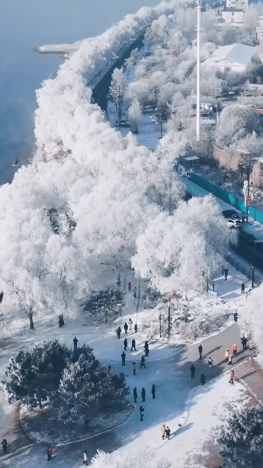 吉林小巷深处的秘密花园,一家特色小店揭秘