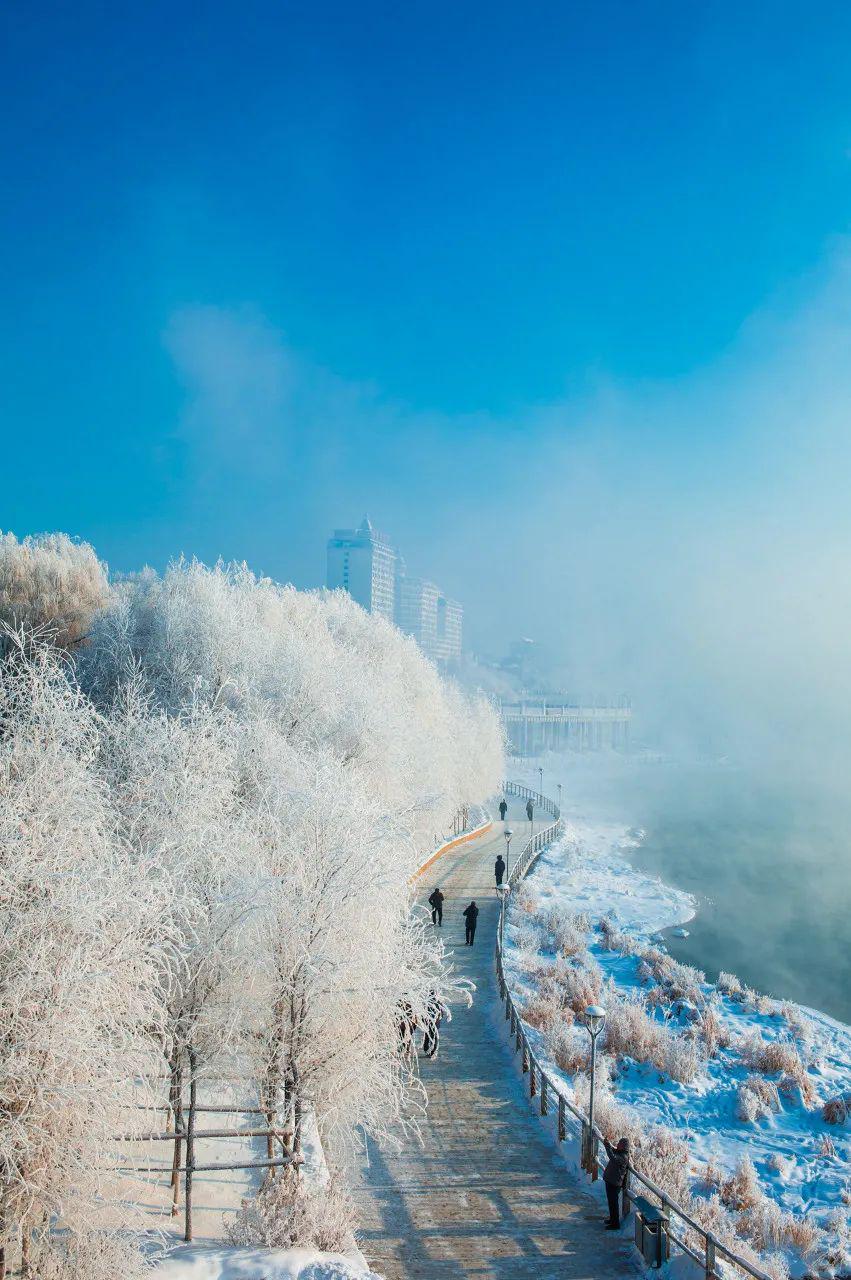 吉林小巷深处的秘密花园,一家特色小店揭秘