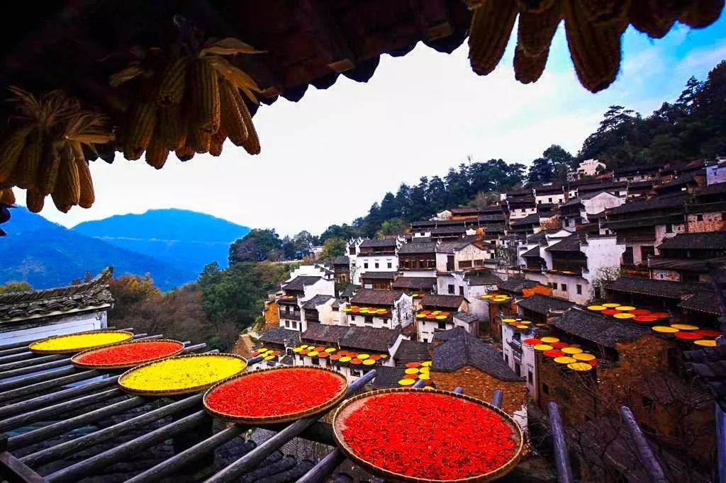 江西经济社会发展研究综述