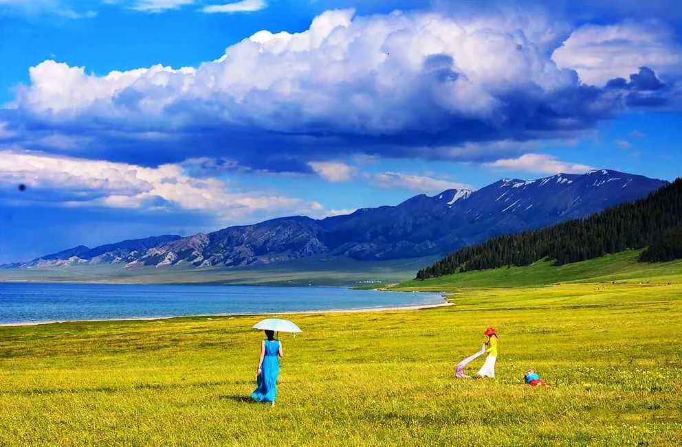 新疆草原深情凝望,阳光下的心灵共鸣