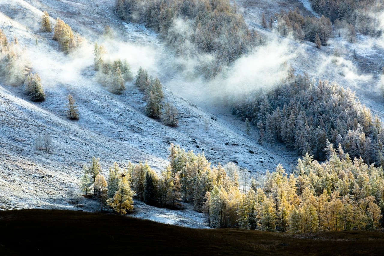 新疆草原深情凝望,阳光下的心灵共鸣