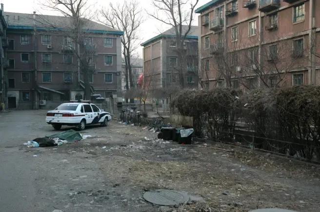 鞍山,初学者与进阶者的任务完成及技能学习详细指南