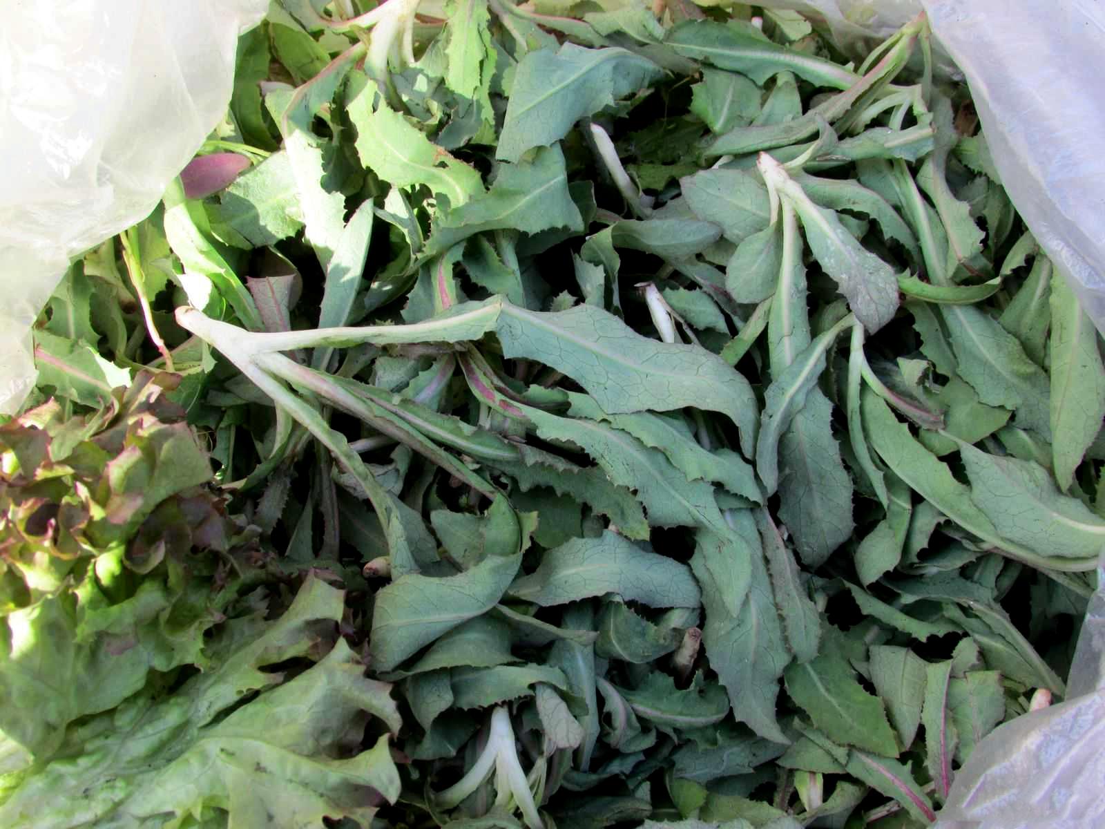 本溪,欢迎各位游客莅临参观