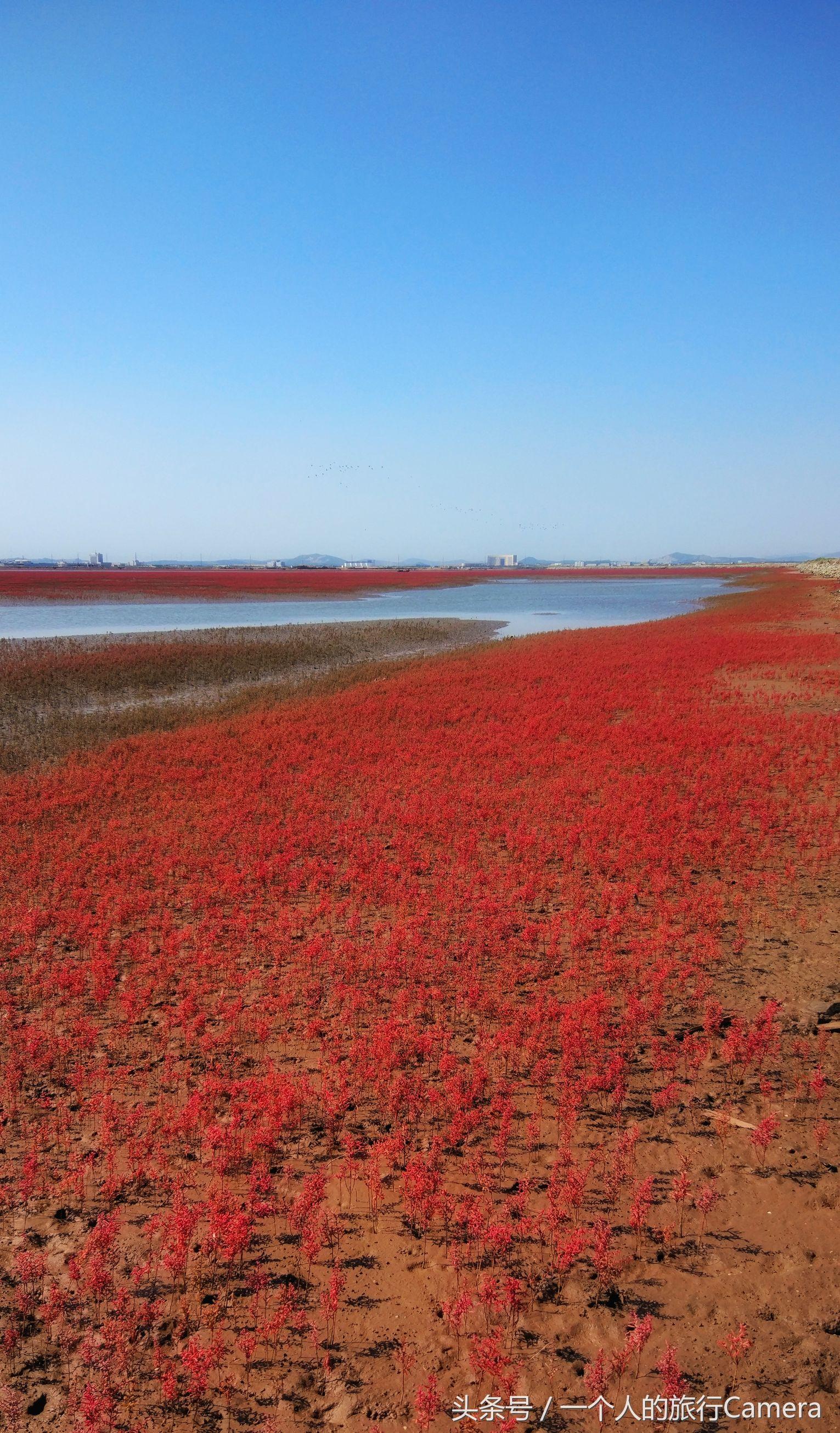 锦州,历史底蕴与现代魅力交织的古城风采
