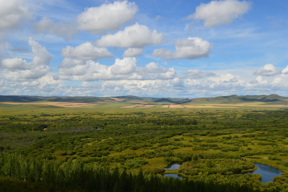 呼伦贝尔，领导与朋友共聚盛会